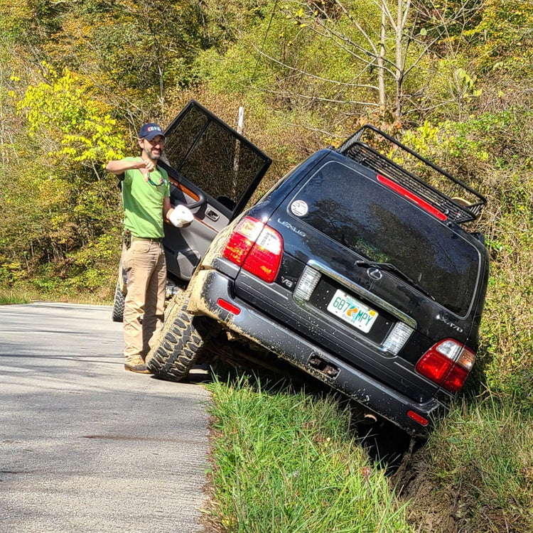 in the ditch
