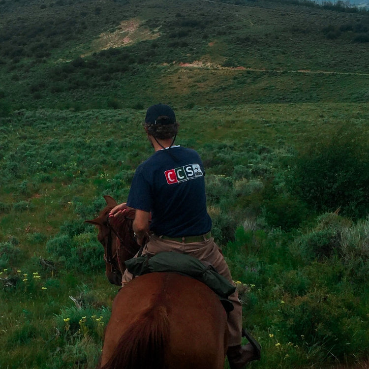 CCS West Georgia Bank T