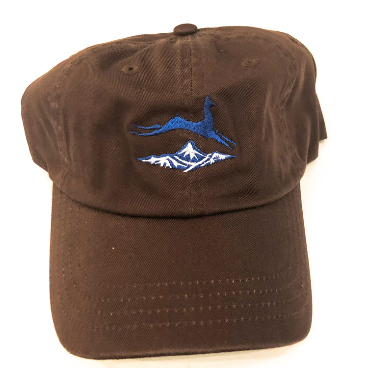 CCS Classic Hat